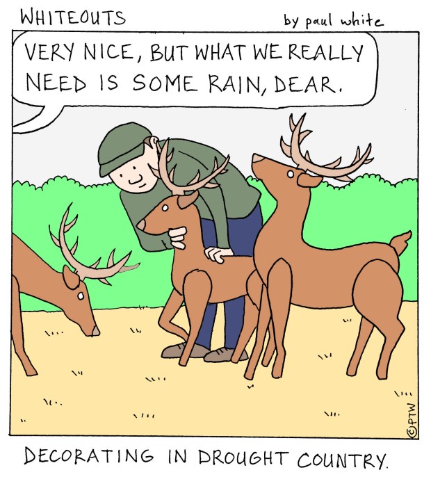 12-6-14 rain dear-color