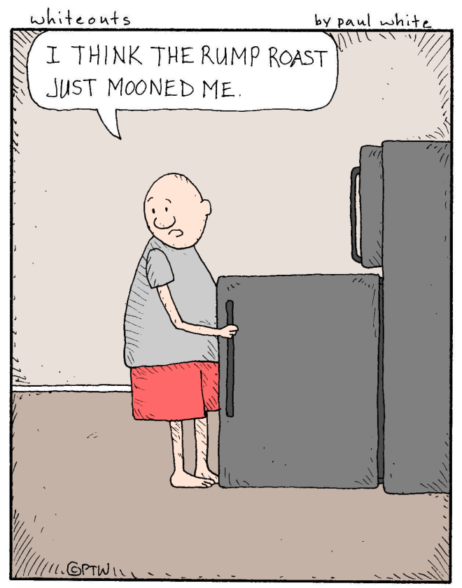 3-16-15 rump roast - color