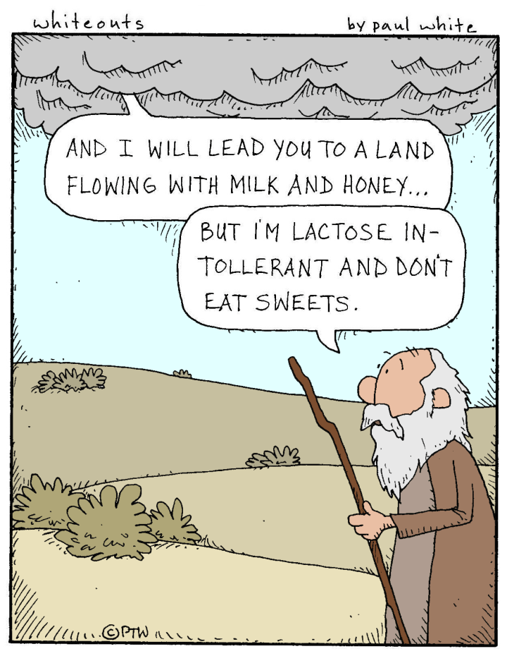 3-6-15 promised land - color