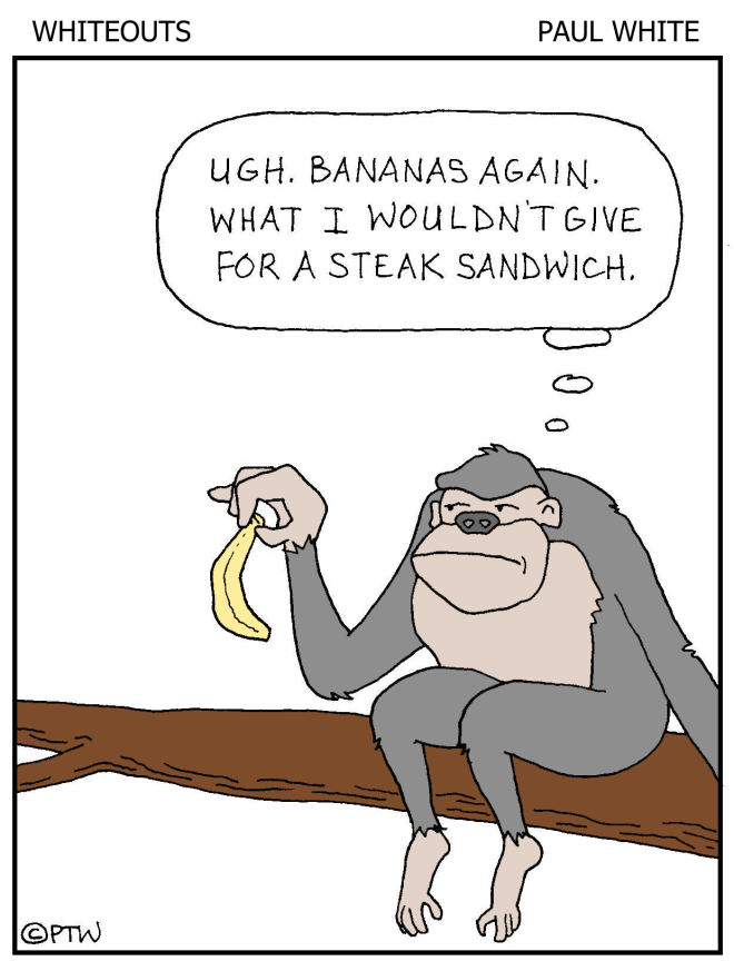 8-19-15 - bananas - color