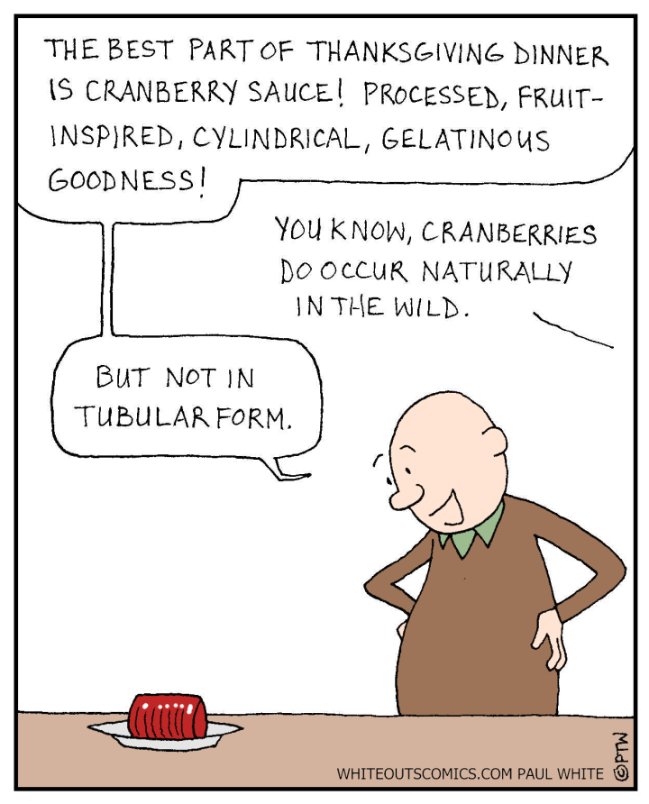 11-26-15 thanksgiving sauce- color