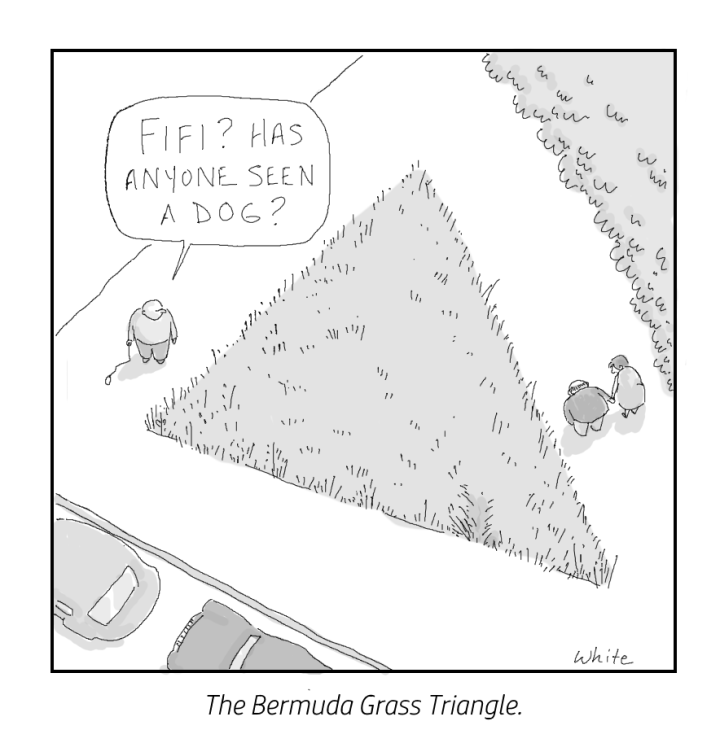 7-2016-bermuda-grass-triangle