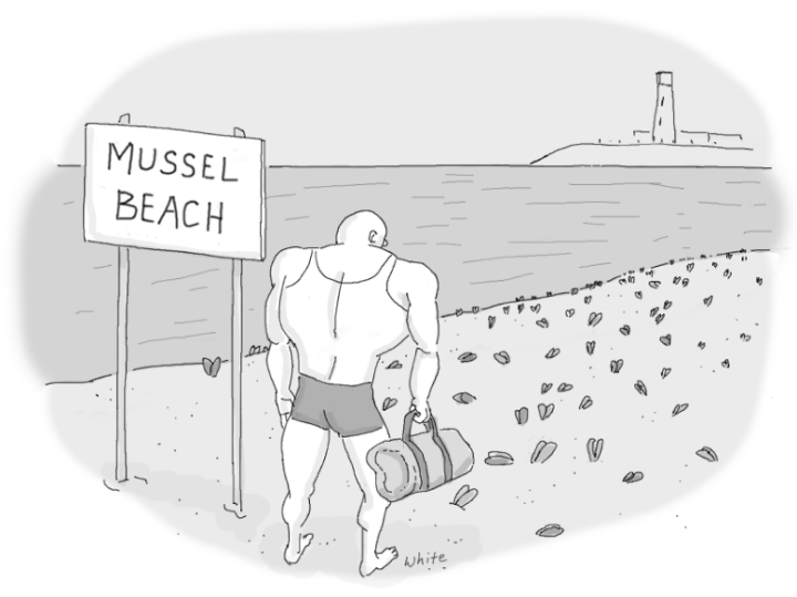 10-14-16-mussel-beach