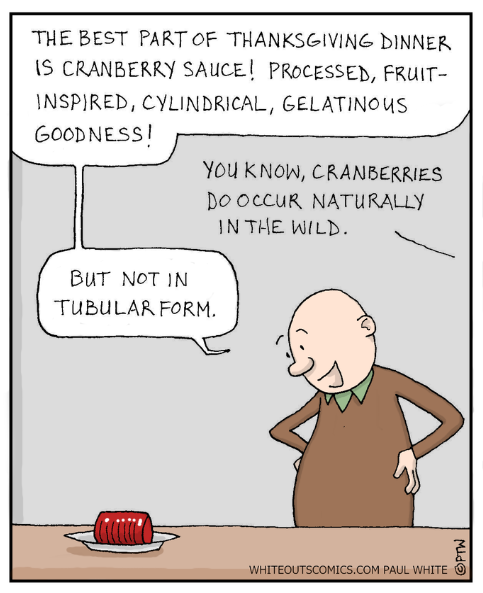 11-24-16-cranberries